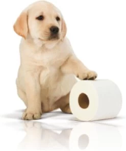 Page Toiletpapier - 32 Rollen - Kussenzacht Wc Papier (3-laags) - Voordeelverpakking -Kruideniers Winkel 1001x1200 3