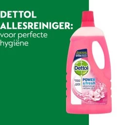 Dettol - Power & Fresh - Allesreiniger - Kersenbloesem - 8 X 1 Liter -Kruideniers Winkel 1157x1200 2