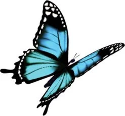 4x Robijn Klein & Krachtig Wasmiddel Black Velvet 1,19 Liter 19 4x Robijn Klein & Krachtig Wasmiddel Black Velvet 1,19 Liter -Kruideniers Winkel 1200x1118