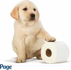 Page Toiletpapier - Eco - Duurzaam - 24 Rollen - Voordeelverpakking -Kruideniers Winkel 1200x1186 4