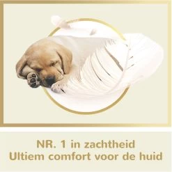 Page Puur Toiletpapier - 24 Rollen - Extra Duurzaam Wc Papier - Voordeelverpakking -Kruideniers Winkel 1200x1200 1245