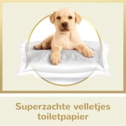 Page Puur Toiletpapier - 24 Rollen - Extra Duurzaam Wc Papier - Voordeelverpakking -Kruideniers Winkel 1200x1200 1246