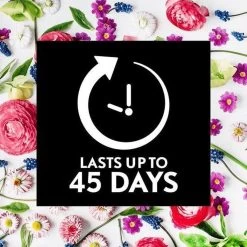 Air Wick Essential Mist Automatische Geurverspreider Luchtverfrisser - Innerlijke Rust - Navulling -Kruideniers Winkel 1200x1200 1642