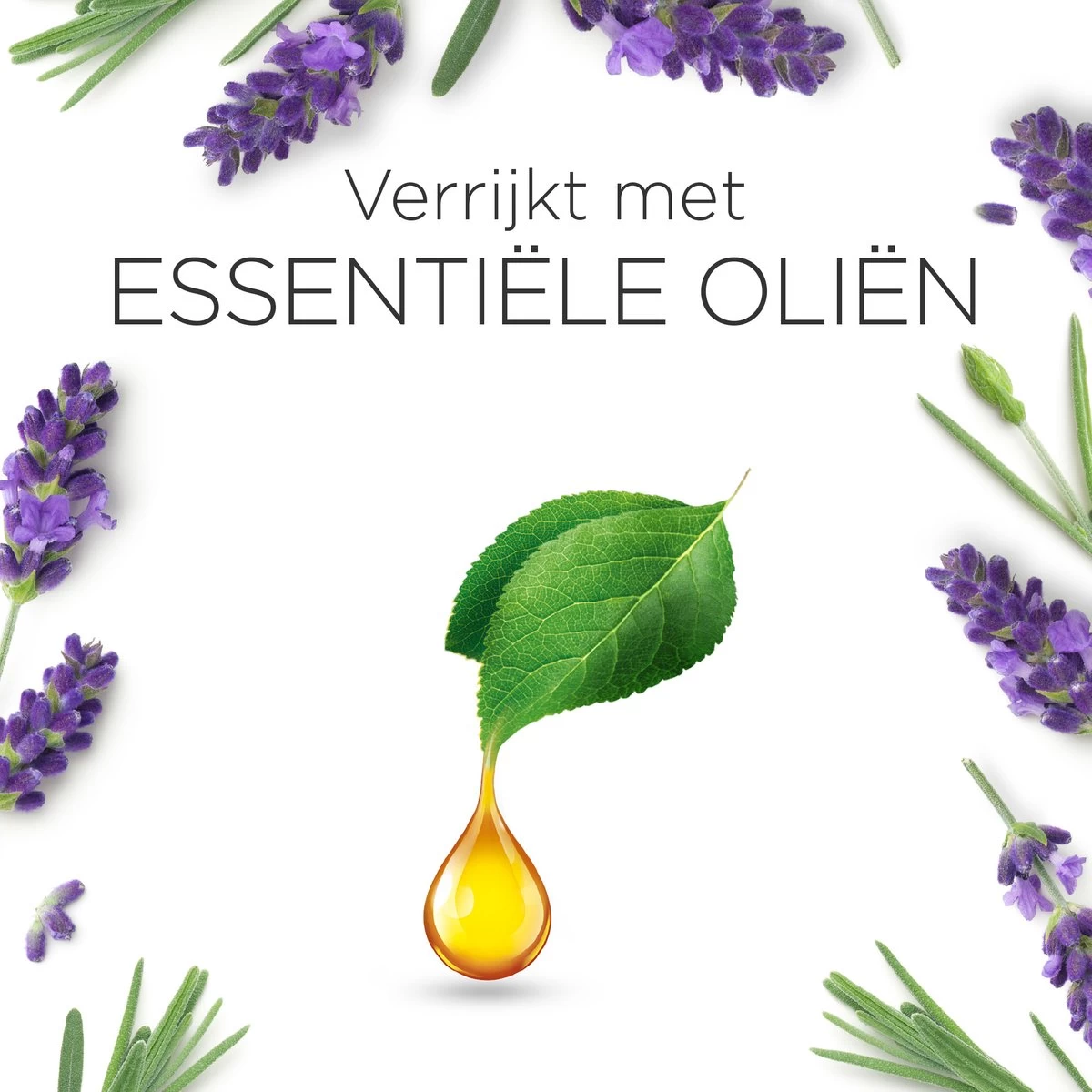 Air Wick Essential Mist Luchtverfrisser - Ontspannende Lavendel - 1 Zwart Apparaat + 2 Navullingen 9 Air Wick Essential Mist Luchtverfrisser - Ontspannende Lavendel - 1 Zwart Apparaat + 2 Navullingen - Afbeelding 7