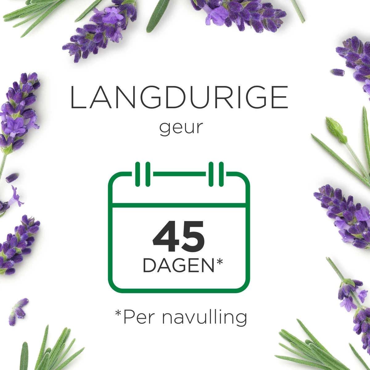 Air Wick Essential Mist Automatische Luchtverfrisser - Ontspannende Lavendel - 3 Navullingen 5 Air Wick Essential Mist Automatische Luchtverfrisser - Ontspannende Lavendel - 3 Navullingen - Afbeelding 3