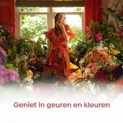 Robijn Klein & Krachtig Rosé Chique Vloeibaar Wasmiddel - 8 X 19 Wasbeurten - Voordeelverpakking -Kruideniers Winkel 1200x1200 73