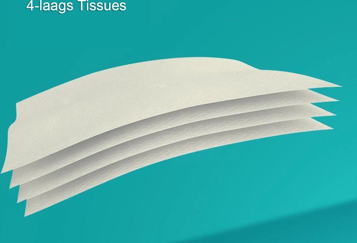 BAMTIME BamboeTissuepapier 4-laags Wc Papier - Wit Color Gebleekt 27 (3*9) Rollen 5 BAMTIME BamboeTissuepapier 4-laags Wc Papier - Wit Color Gebleekt 27 (3*9) Rollen - Afbeelding 3