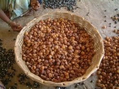 Wasnoten 750gr Met Waszakje - Zeepnoten - Natuurlijk Wassen -Kruideniers Winkel 1200x900