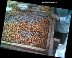 Wasnoten 750gr Met Waszakje - Zeepnoten - Natuurlijk Wassen -Kruideniers Winkel 1200x973 1