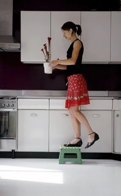 PUHLMANN - Inklapbare Kruk, JAMES, Plastic, Groen, 22 Cm Hoog, Max 100kilo -Kruideniers Winkel 746x1200