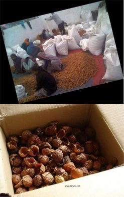 Wasnoten 750gr Met Waszakje - Zeepnoten - Natuurlijk Wassen -Kruideniers Winkel 755x1200